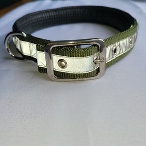 Reflective dog collar in dark green